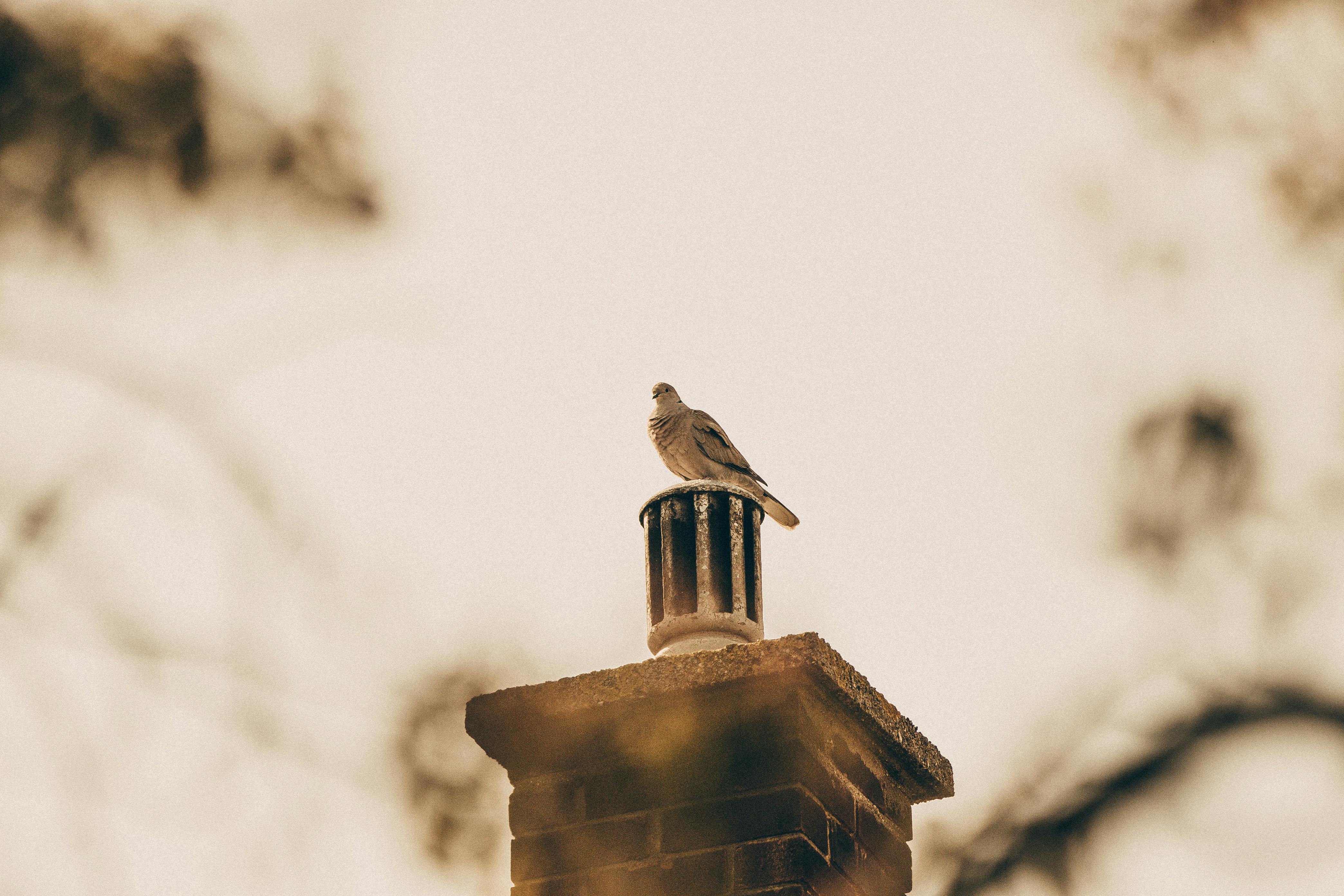 Expert Chimney Cap Installation in Melrose Park, Illinois